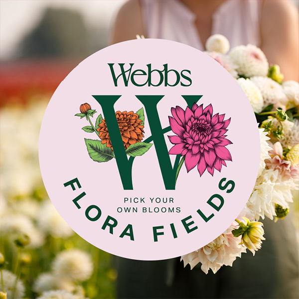 Garden Centre Team Member (Flora Fields) - Webbs, Wychbold