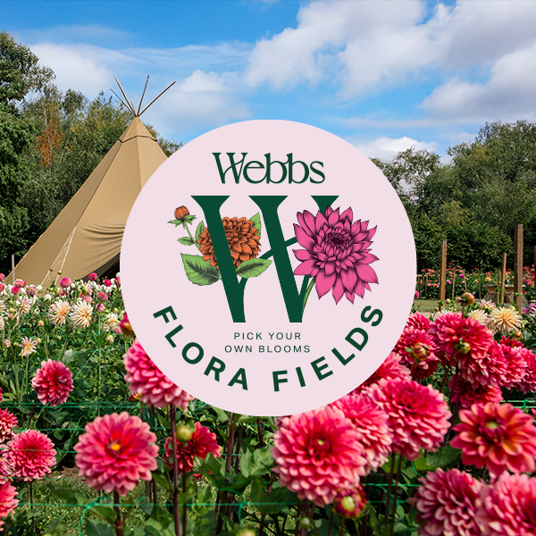 Flora Fields Team Leader - Webbs, Wychbold