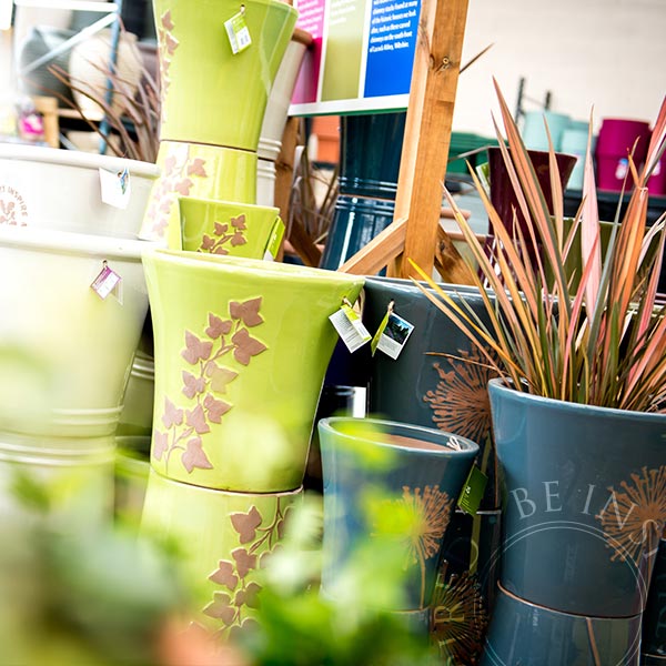 Customer Service Assistant (Horticulture) - Webbs, Millets Farm