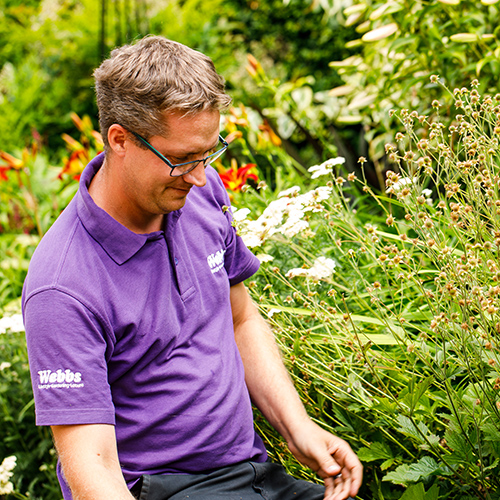 Purchase Ledger Administrator - Webbs, Wychbold