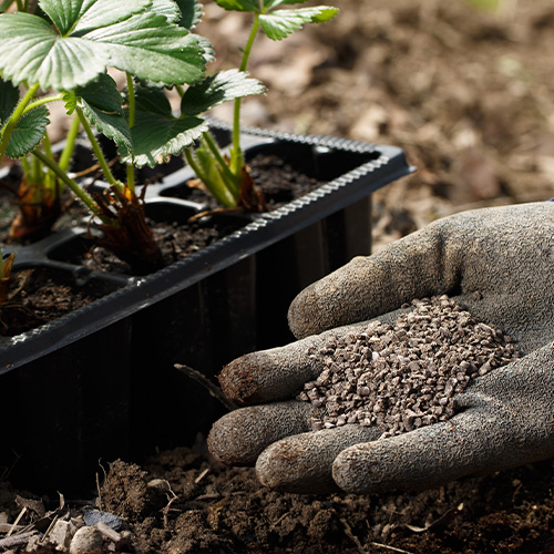 Are fertiliser and plant food the same thing?