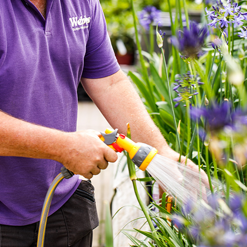 Warehouse Team Leader (Gate C) - Webbs, Wychbold