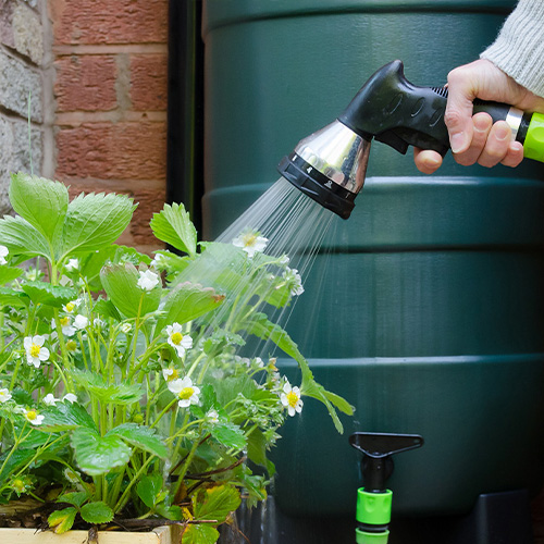 Water Butts... Are they worth it?