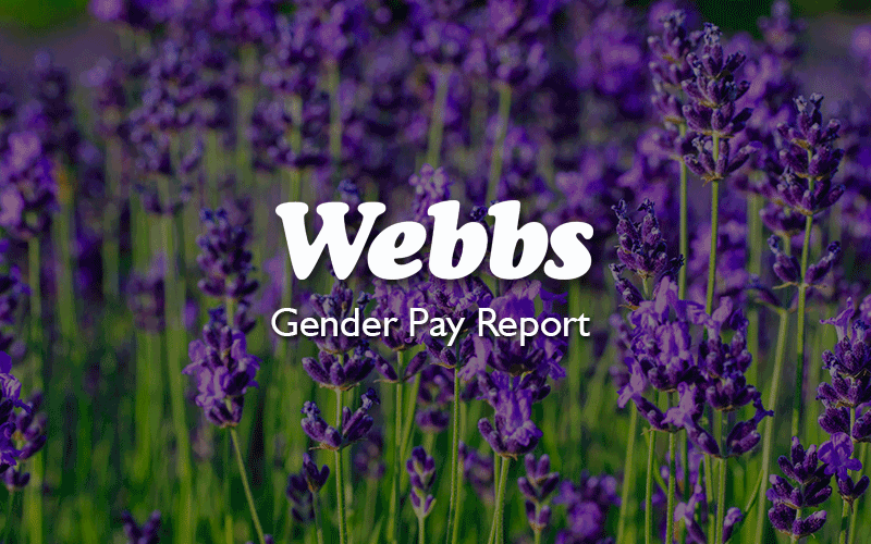 Webbs Gender Pay Report