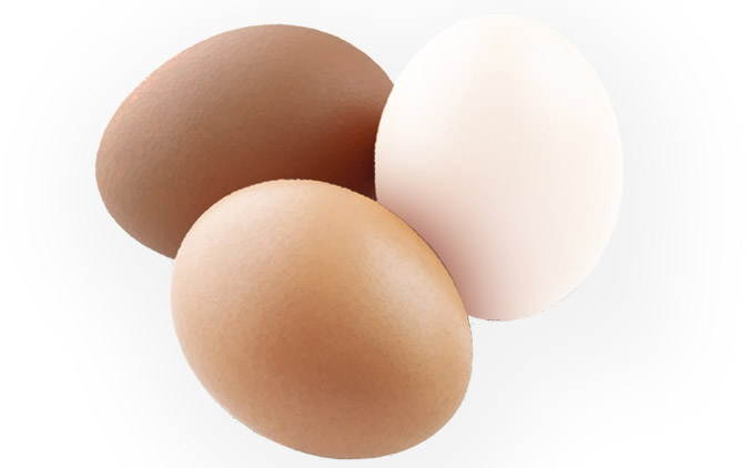 FENTON FARM'S EXCELLENT EGGS