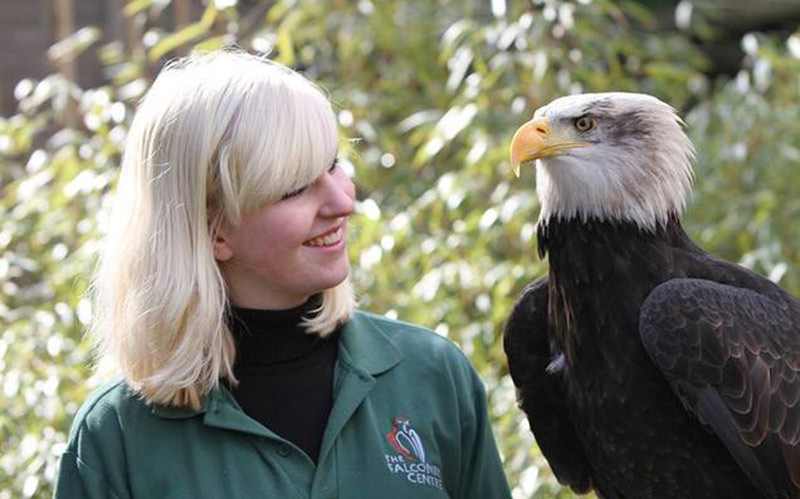 Falconry centre