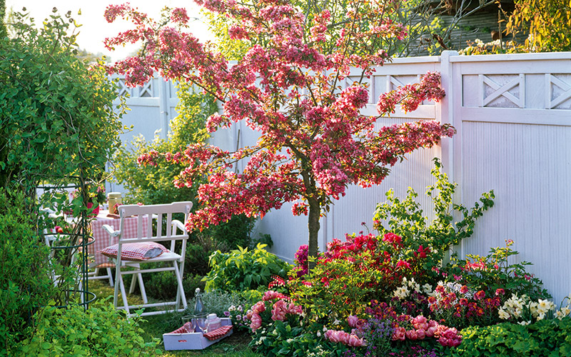 Plant A Spring Cottage Border Webbs Garden Centre