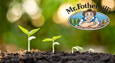Mr Fothergills