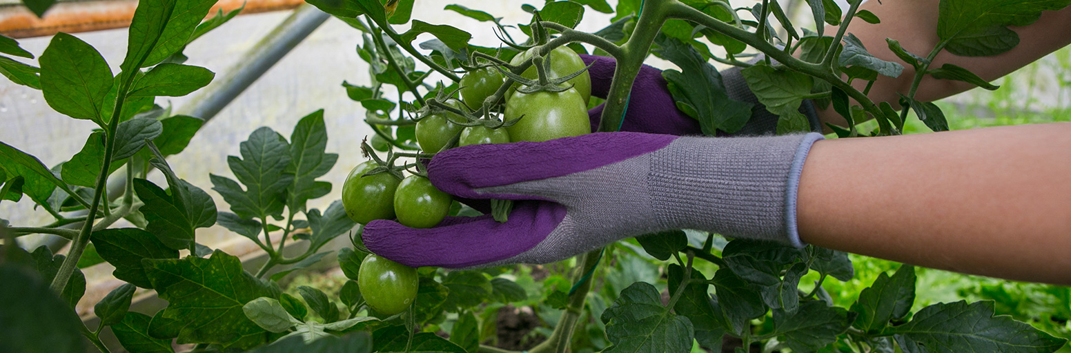 Gardening Gloves