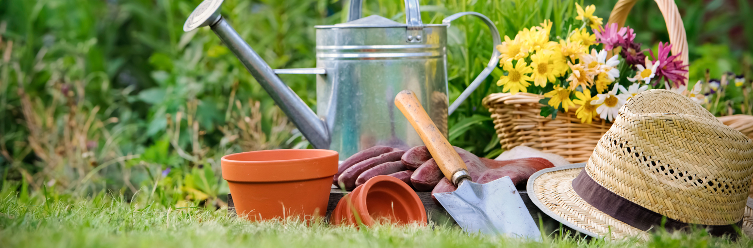 Gardening