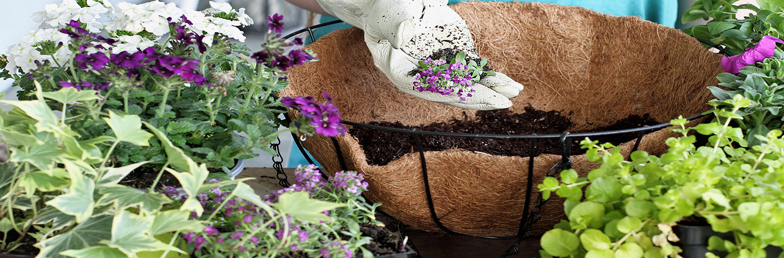 Hanging Baskets & Accessories