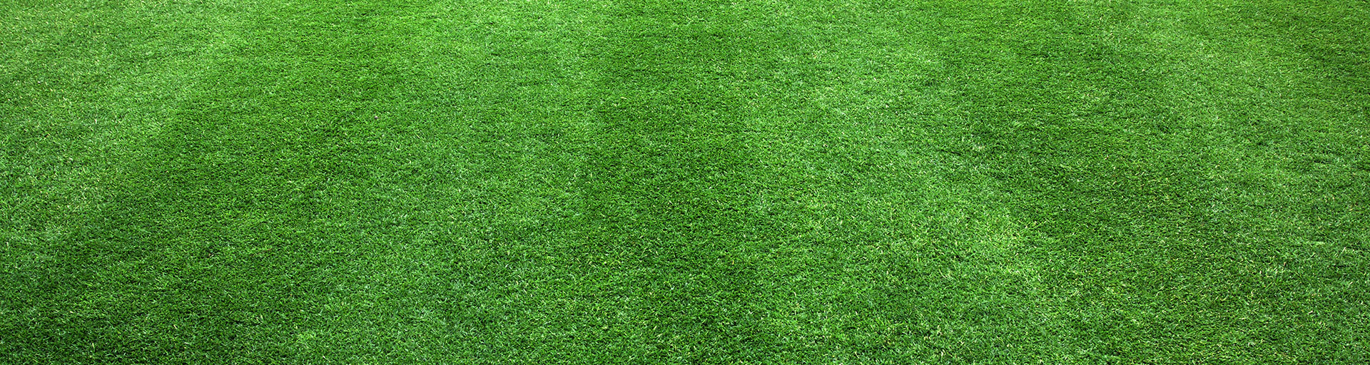 Lawn Care Products