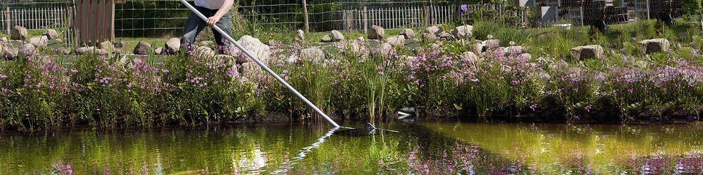 Pond Maintenance