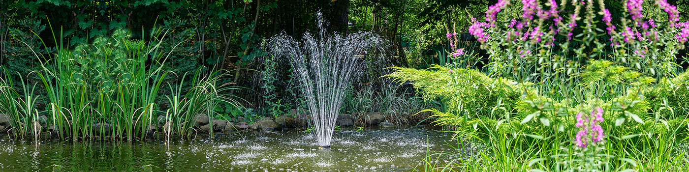 Pond Pumps & Fountains