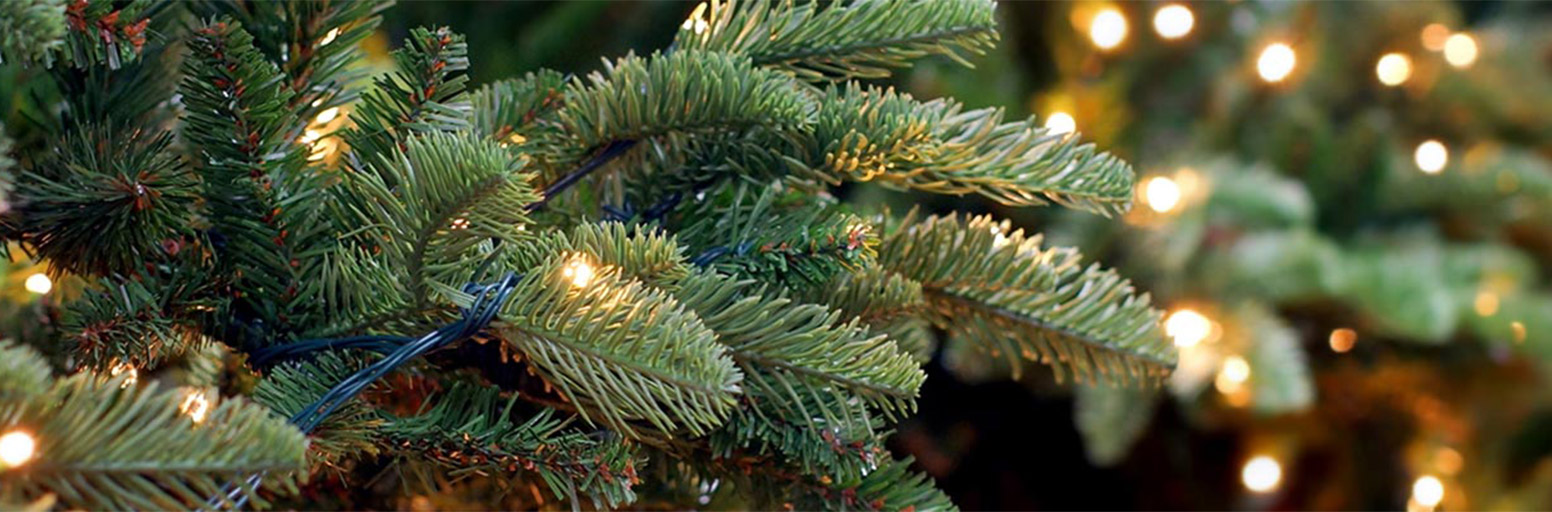 Artificial Christmas Trees