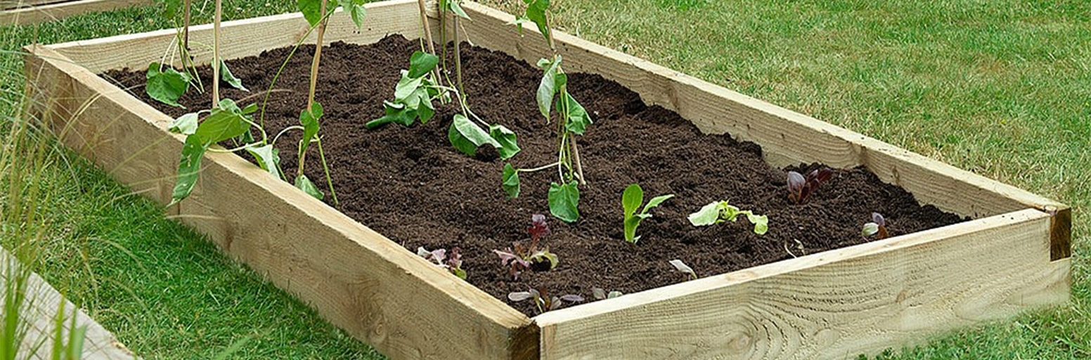 Raised Vegetable Beds