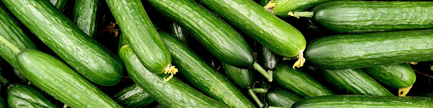 Cucumber Seeds