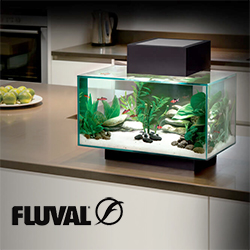 Fluval