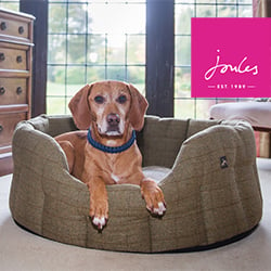 joules dog clothes