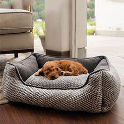 Dog Beds and Crates