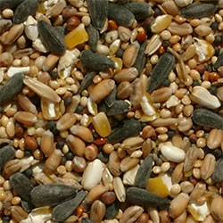 Bird Seed Mix