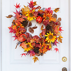 Halloween and Autumn Décor