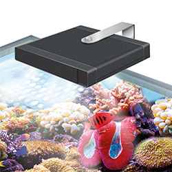 Aquarium Lighting & Heating