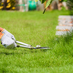Lawn Care Products