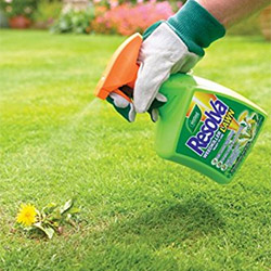 Lawn Weedkiller