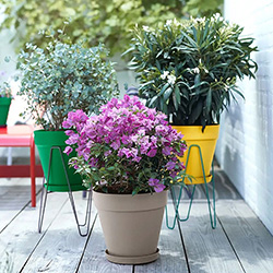 Garden Pots and Planters