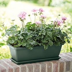 Trough Planters