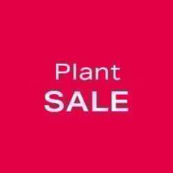 Plant Sale