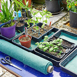 Potting and Planting Accessories