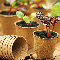 Grow Pots