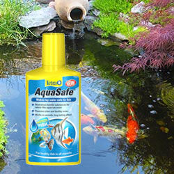 Pond Treatments