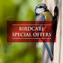 Birdcare Special Offers