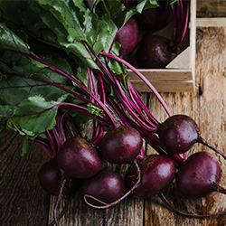 Beetroot & Radish Seeds