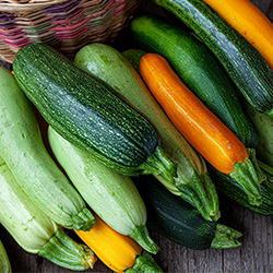 Courgette and Marrow Seeds