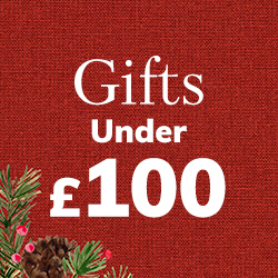 Gifts Under £100