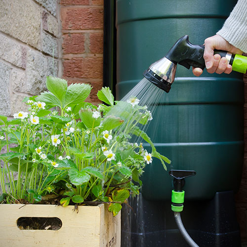 The Gardening, Seeds & Bulbs Department