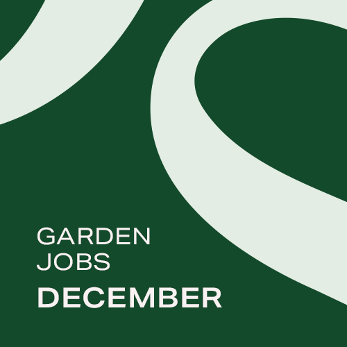 Garden Jobs: December