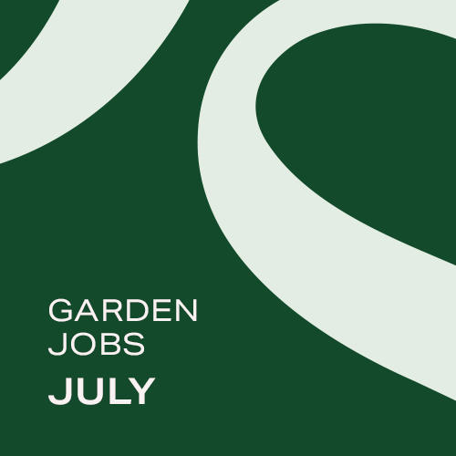 Garden Jobs: July