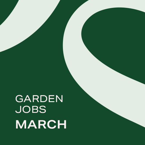 Garden Jobs: October