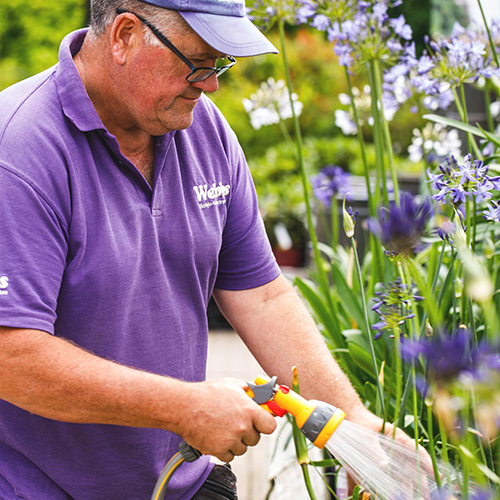 Garden Centre Team Member  - Webbs, Cheltenham