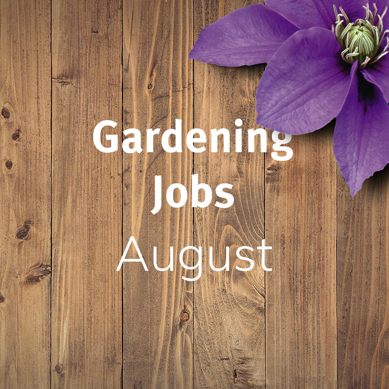 Gardening Jobs: August
