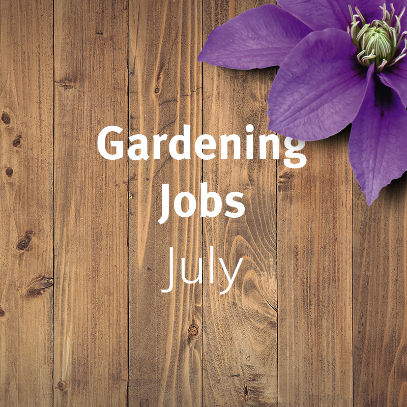 Gardening Jobs: July