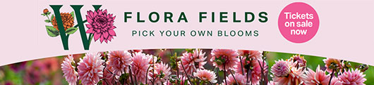 Flora Fields