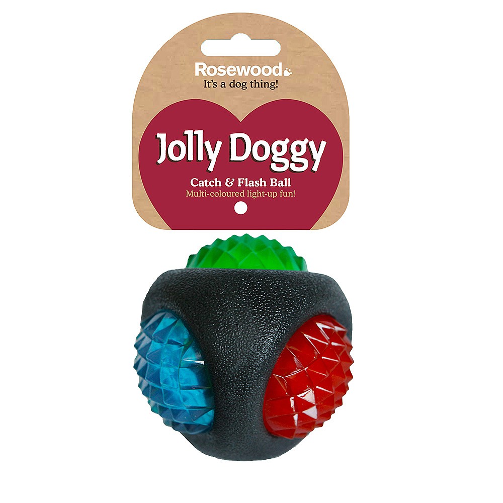 Rosewood Jolly Doggy Catch Flash Ball Dog Toys Webbs Garden