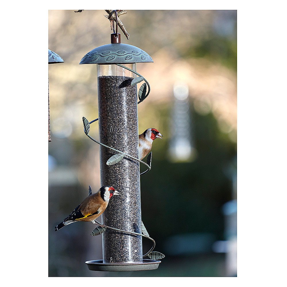 Peckish shop bird feeder
