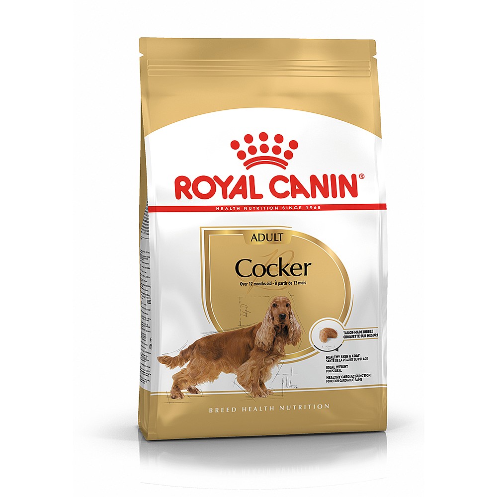 Royal Canin Breed Health Nutrition Cocker Dry Food 3kg Dog